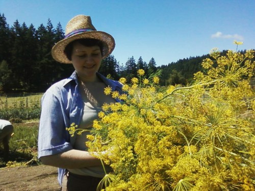 whitney dill harvest
