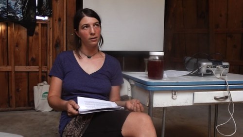 Ana Manilof presentation 1