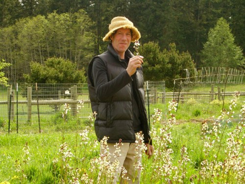 SAMSUNG DIGITAL CAMERA