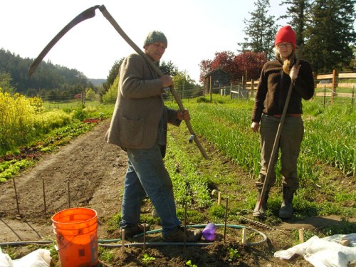 SAMSUNG DIGITAL CAMERA