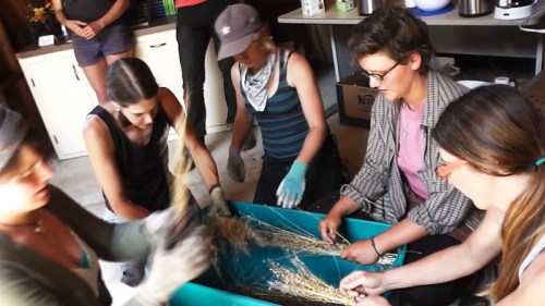 Krista Rome presentation - group