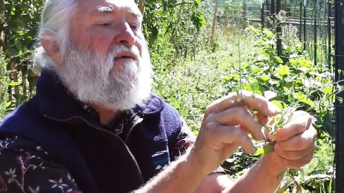 Ryan Drum presentation 1