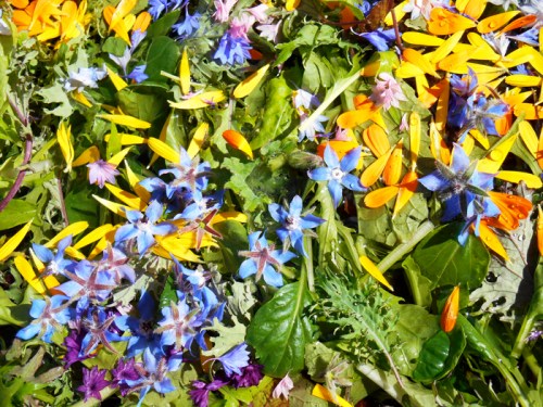 floral salad mix