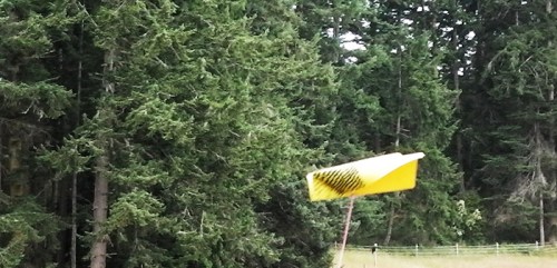 kiteflying2