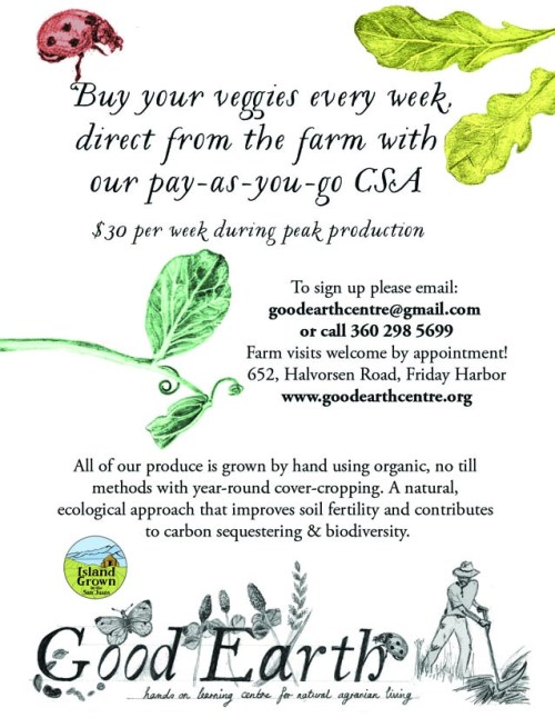 CSA flier colour flat